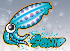 debug squid.conf