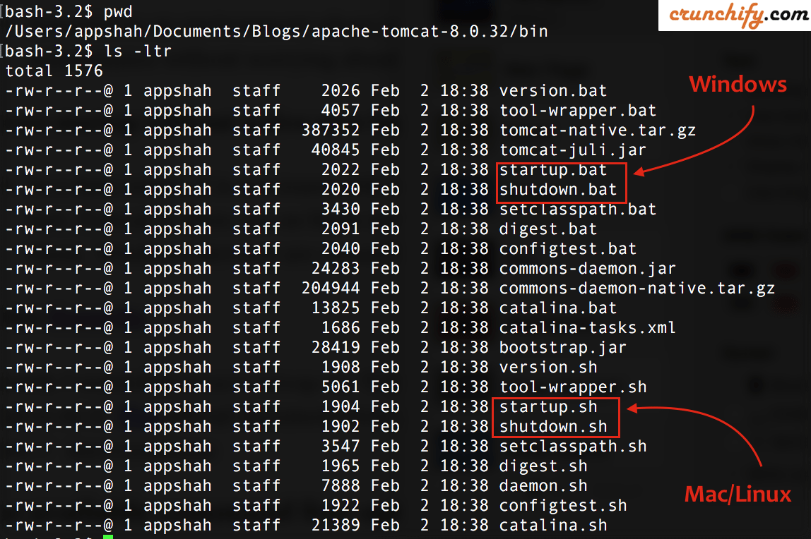 Windows에서 Apache Tomcat 서버를 시작하는지 확인하는 방법