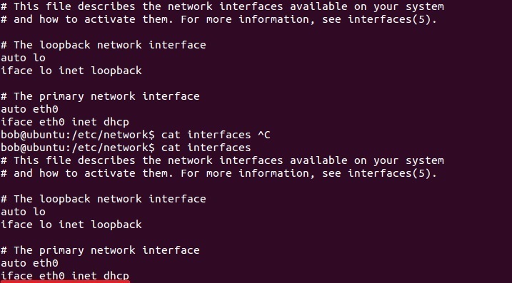 linux kernel parameters dhcp