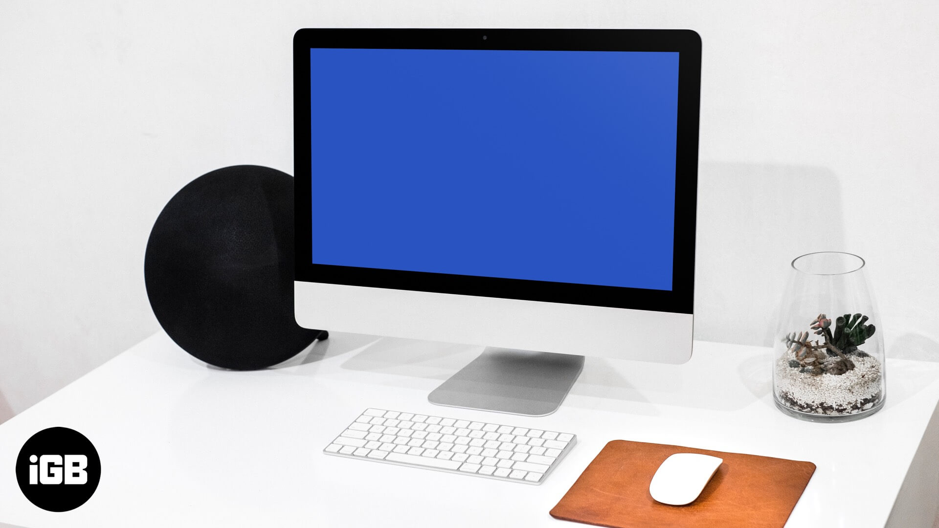 Mac включает синий экран