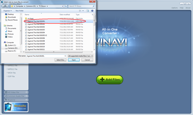 winavi mkv codec