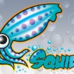 debug-squid-conf