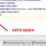 xml-parse-error-whitespace-is-not-allowed