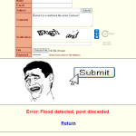 4chan-error-flood-detected