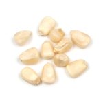 corn-white-kernel