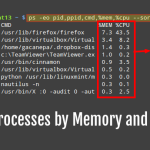 ps-order-cpu-usage