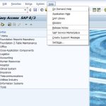 Como Funciona Este Plano De Ação No Menu De Inicialização Do Usuário SAP?