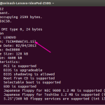 check-bios-version-linux-server