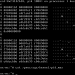 kernel-pid-max