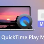 Hur Man åtgärdar Problem Med Att Ladda Ner Quicktime MKV-codec På Mac