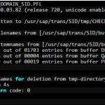 sap-transport-directory-cleanup