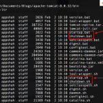 how-to-start-the-apache-tomcat-server-in-windows