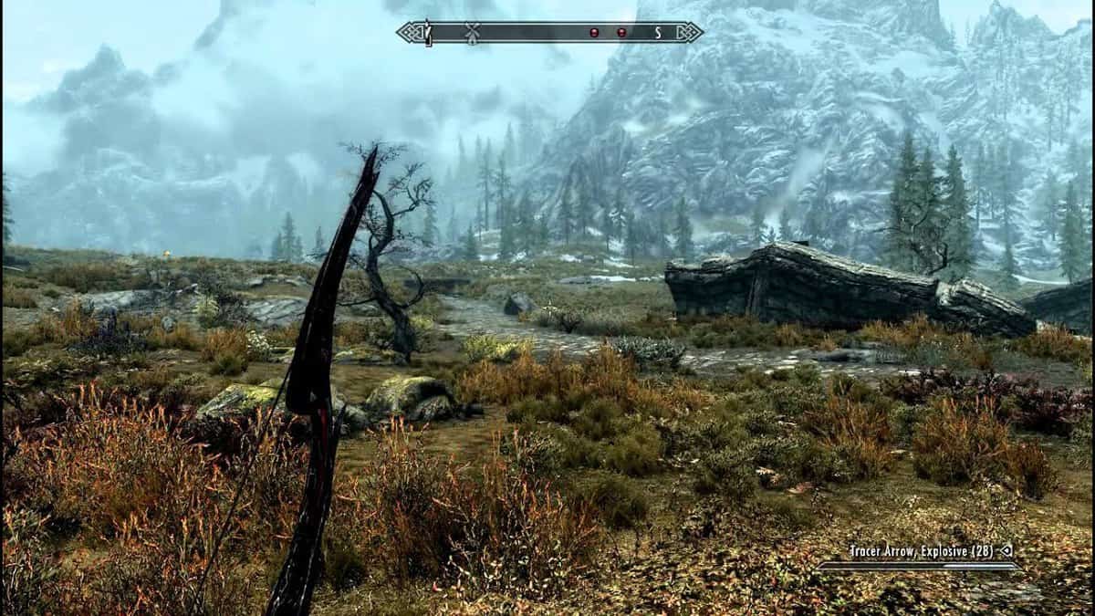 skyrim-troubleshooting-graphics