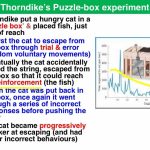 trial-error-theory-of-learning